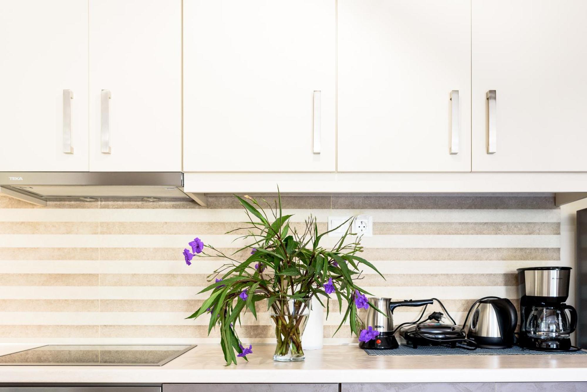 Afroditi'S Delux Apartment モネンバシア エクステリア 写真